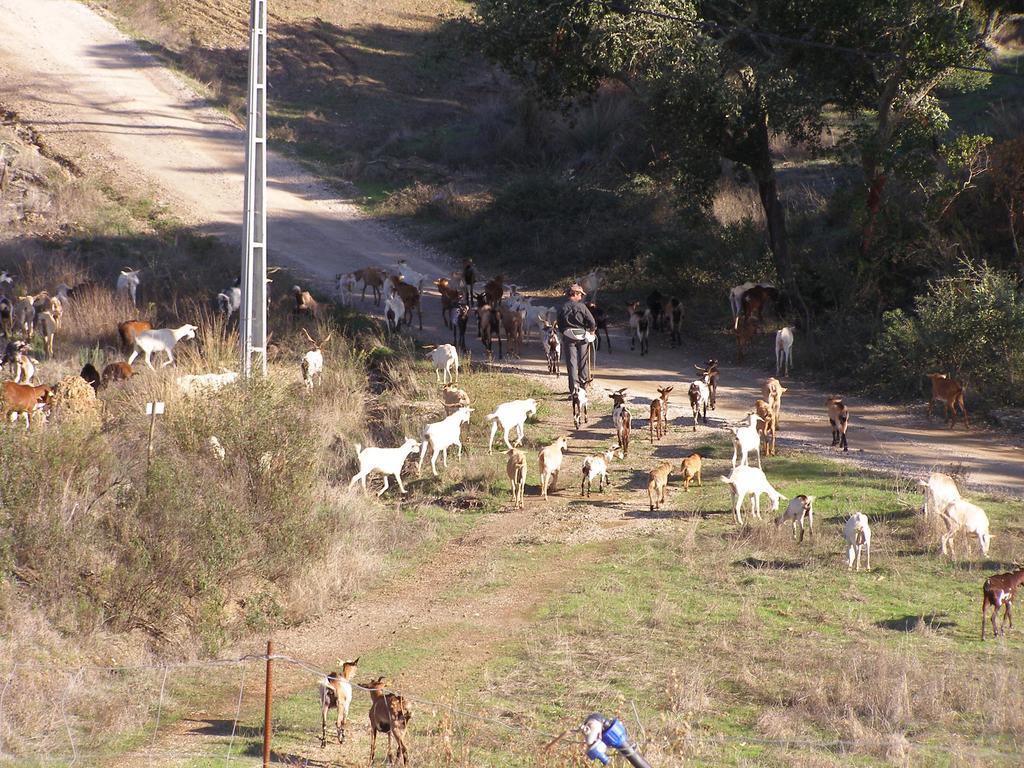 Quinta Das Amendoeiras B&B Nora  Εξωτερικό φωτογραφία